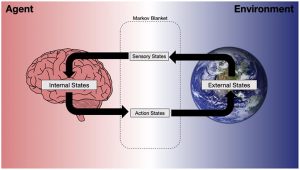 An illustration of how a model of the external world is formed, resulting in beliefs about the true states of the world and belief updating, encoded by internal states.